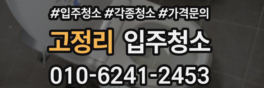 고정리 이사청소