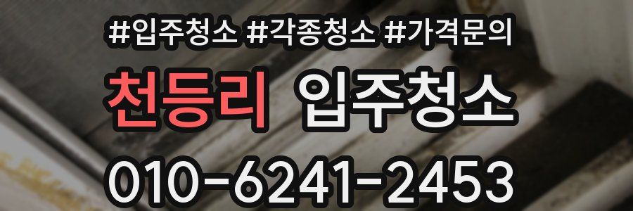 천등리 이사청소