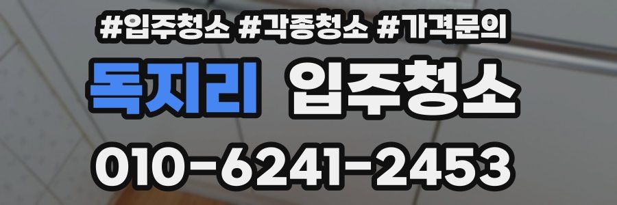 독지리 이사청소