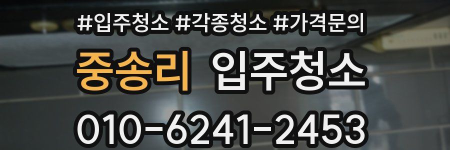 중송리 이사청소