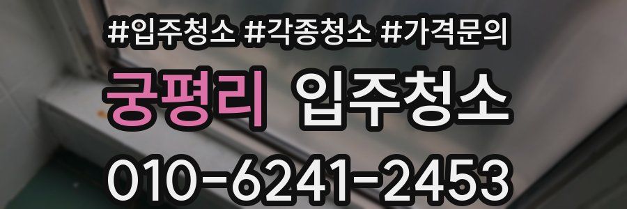 궁평리 이사청소