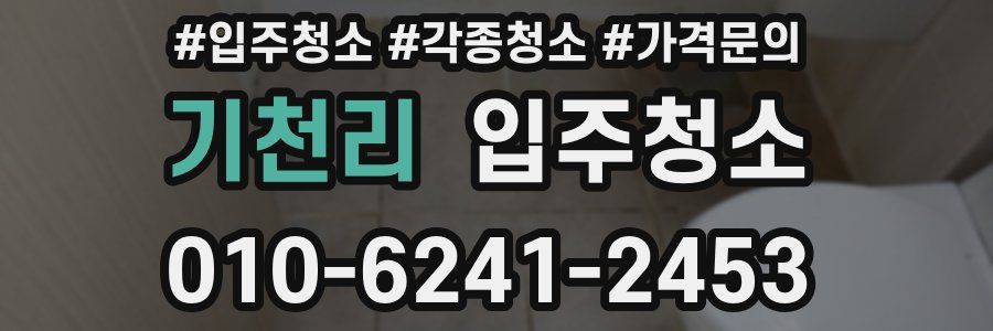 기천리 이사청소