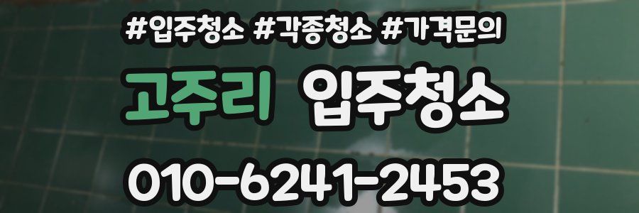 고주리 이사청소