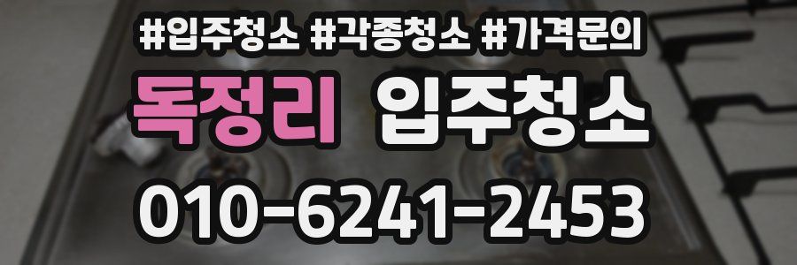 독정리 이사청소