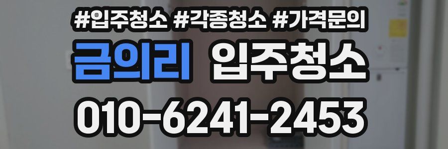 금의리 이사청소