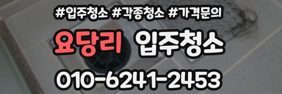 요당리 이사청소