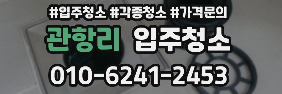 관항리 이사청소