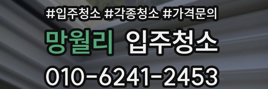 망월리 이사청소