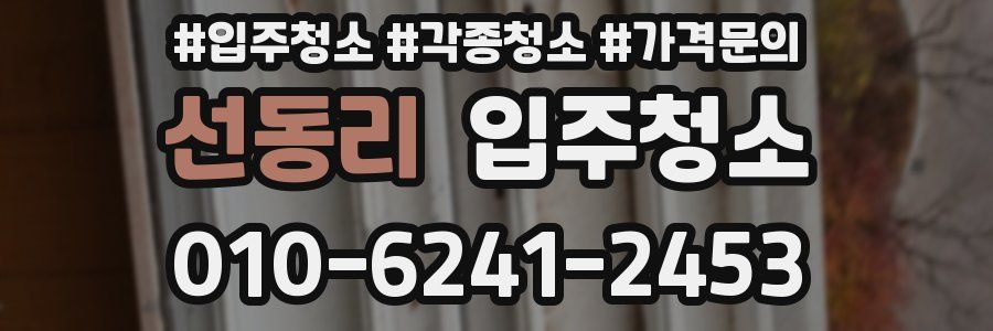 선동리 이사청소