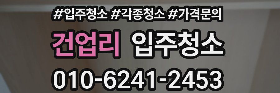 건업리 이사청소