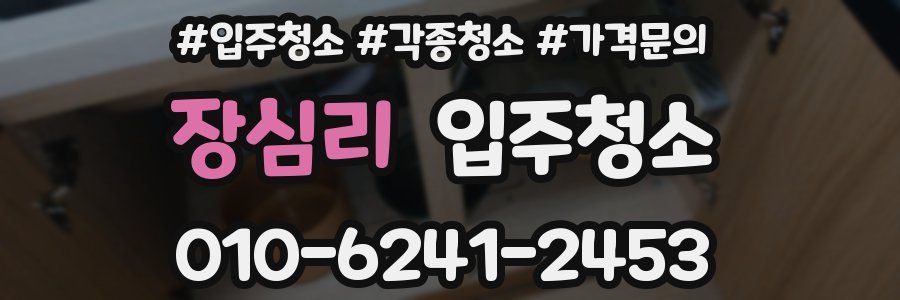 장심리 이사청소