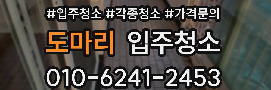 도마리 이사청소