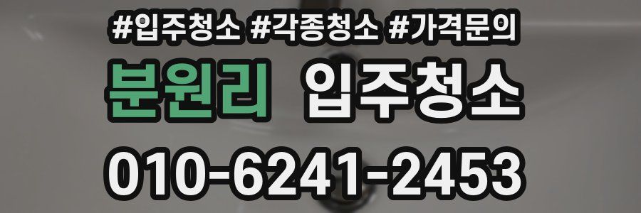 분원리 이사청소