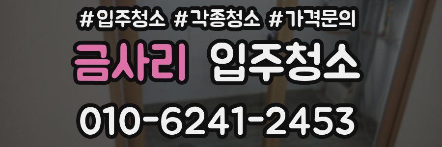 금사리 이사청소