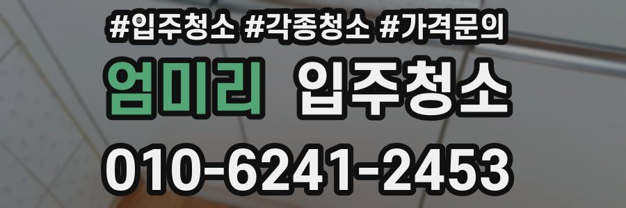 엄미리 이사청소