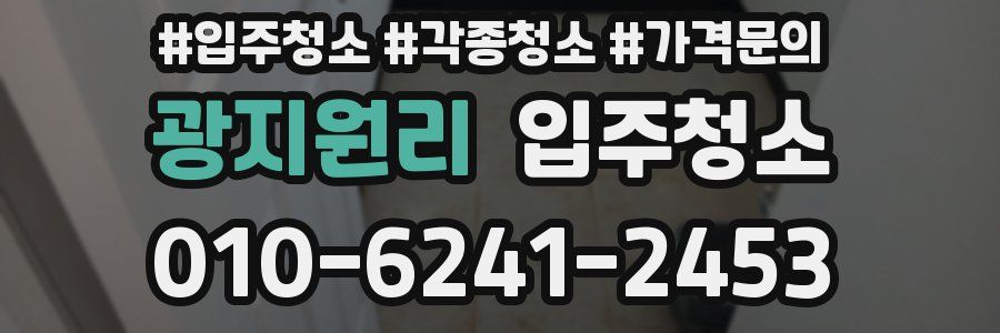 광지원리 이사청소