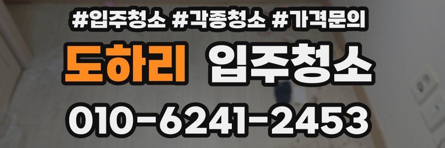 도하리 이사청소