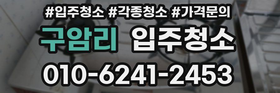 구암리 이사청소