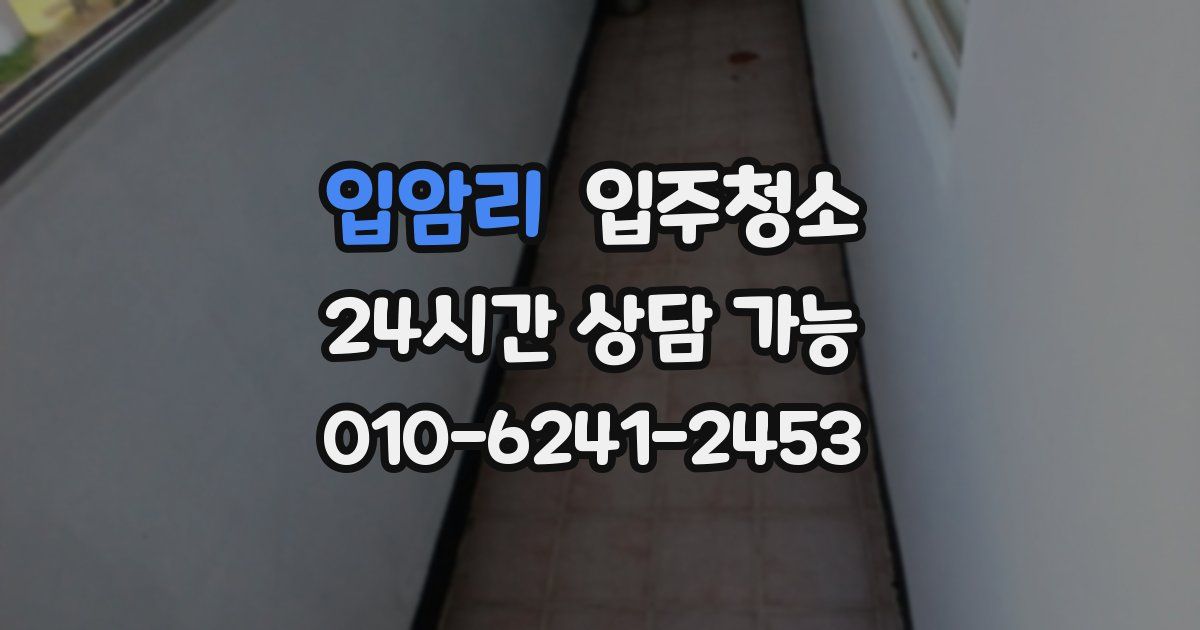 입암리 입주청소