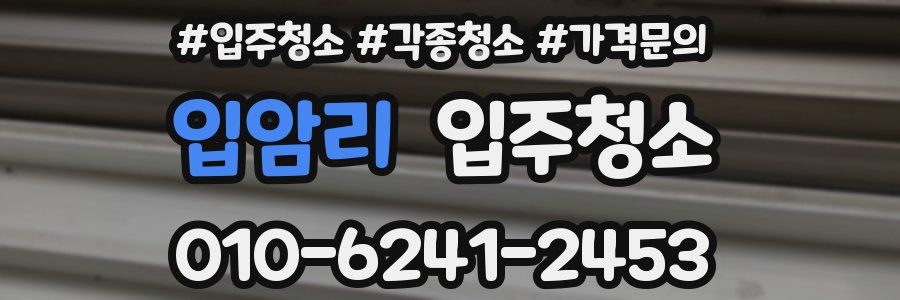 입암리 이사청소