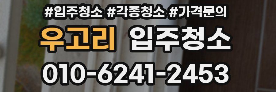 우고리 이사청소