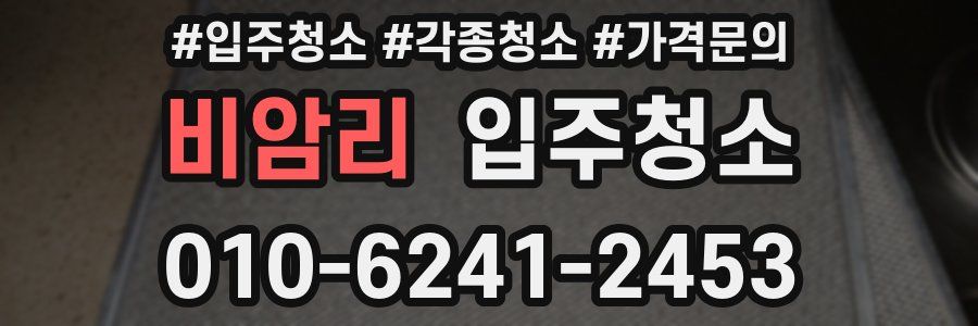 비암리 이사청소