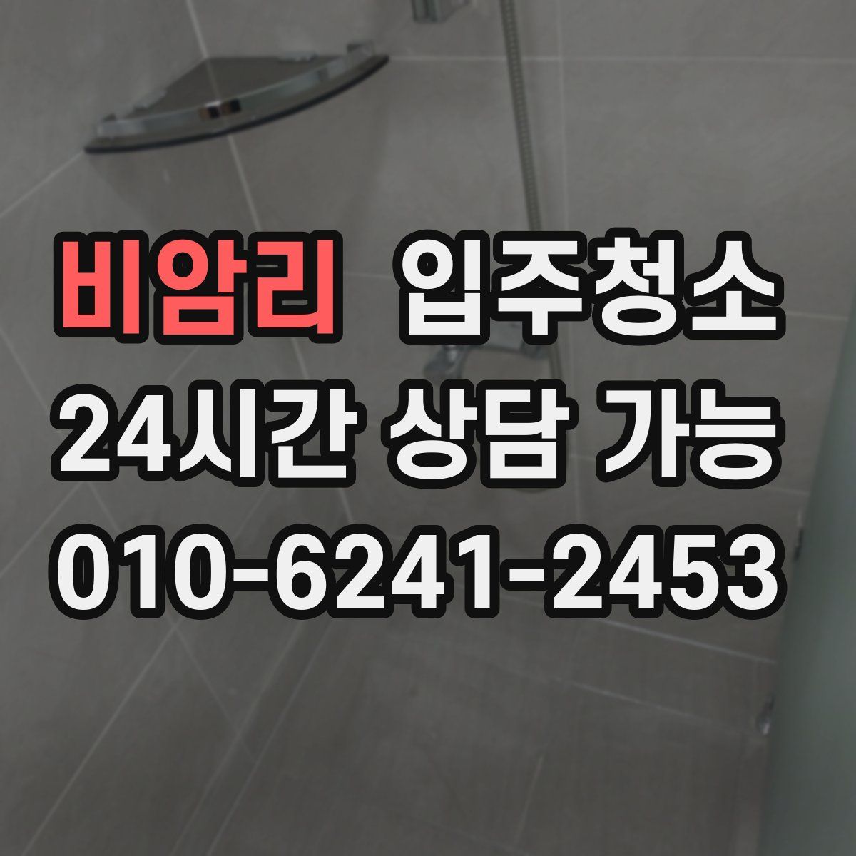 비암리 원룸청소