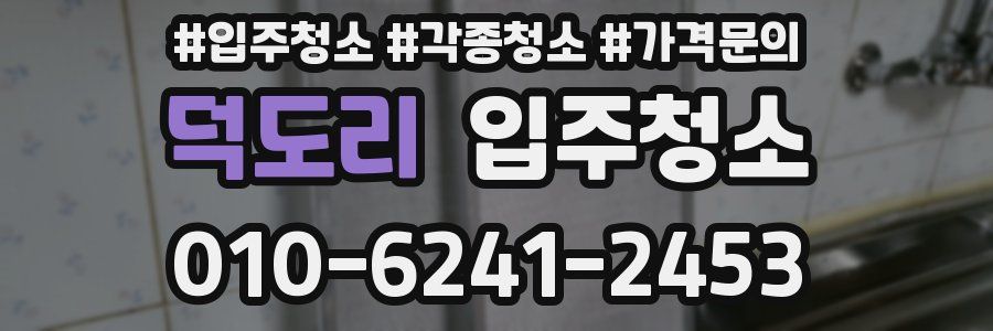 덕도리 이사청소