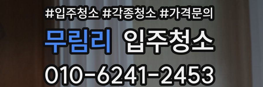 무림리 이사청소