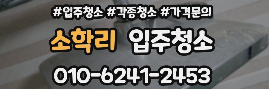 소학리 이사청소