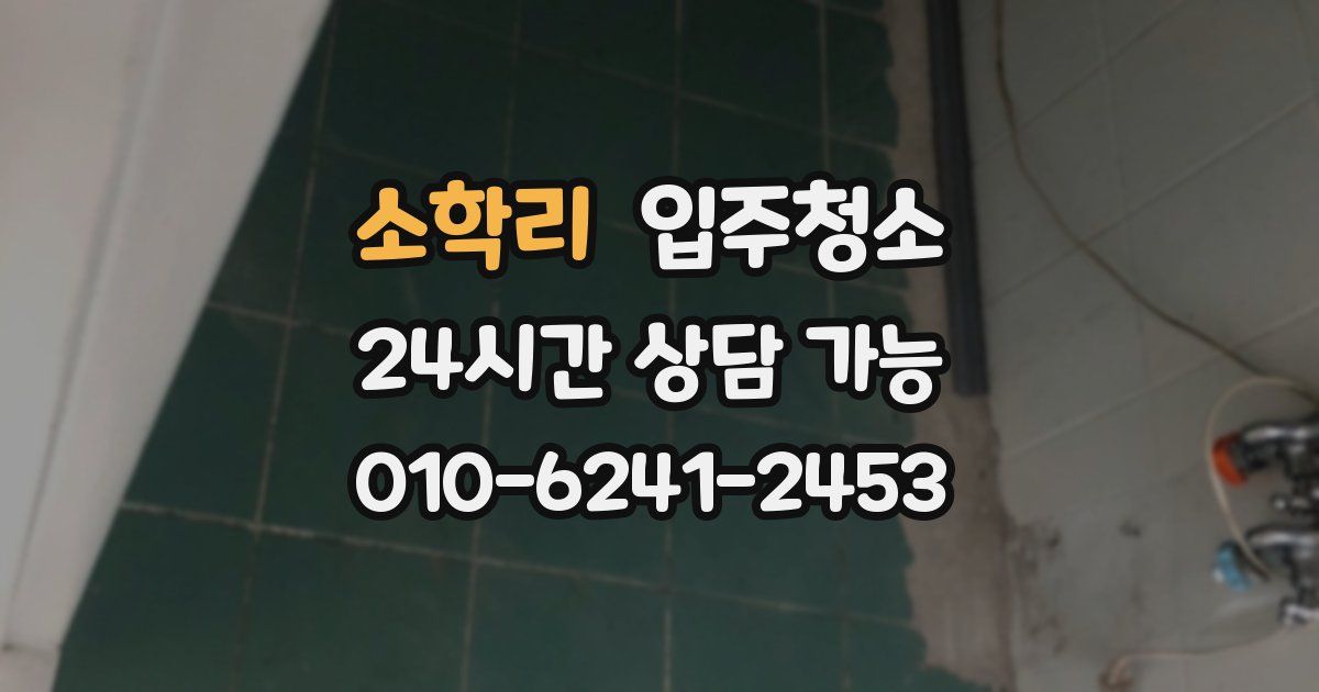 소학리 입주청소