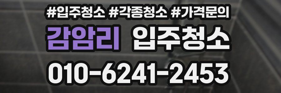 감암리 이사청소