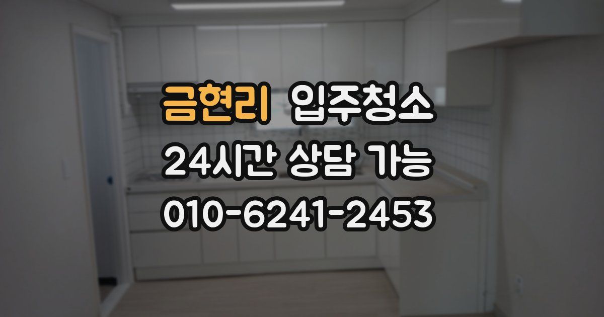 금현리 입주청소