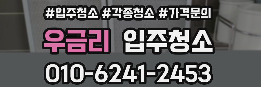 우금리 이사청소