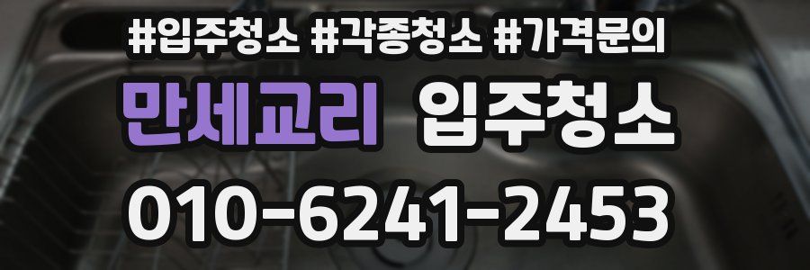 만세교리 이사청소