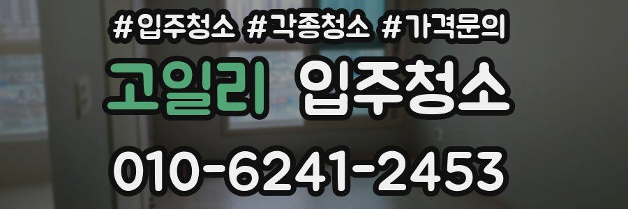 고일리 이사청소