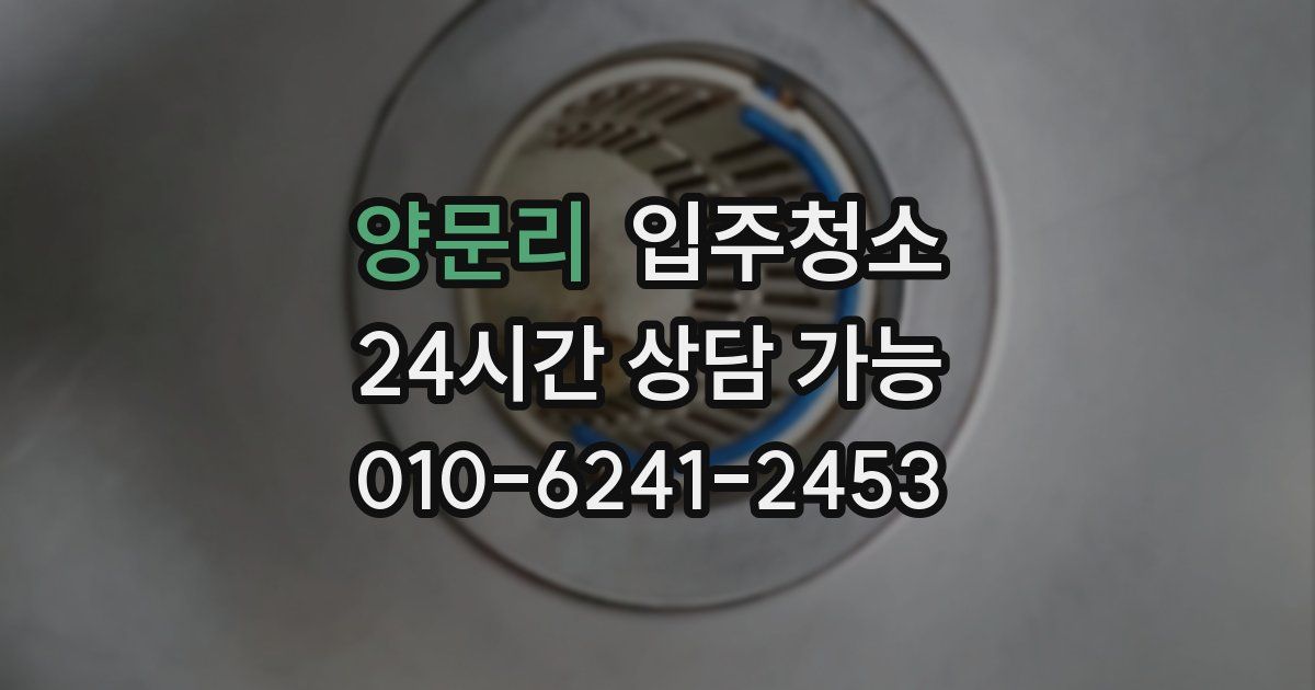 양문리 입주청소