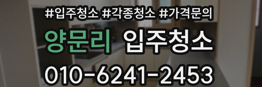 양문리 이사청소