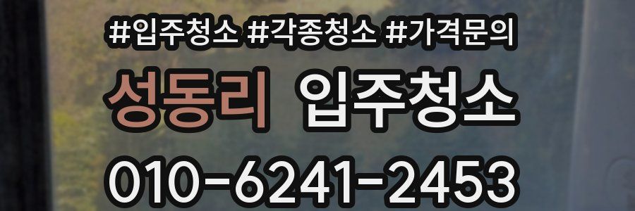 성동리 이사청소