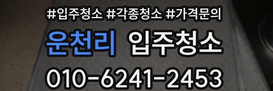 운천리 이사청소