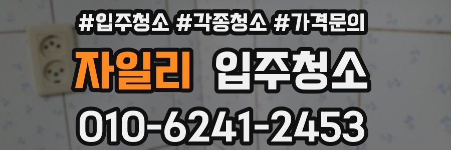 자일리 이사청소