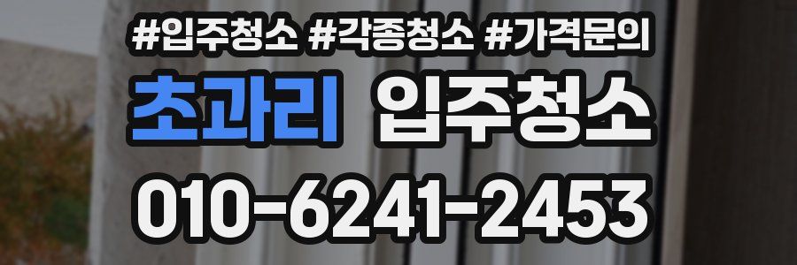 초과리 이사청소