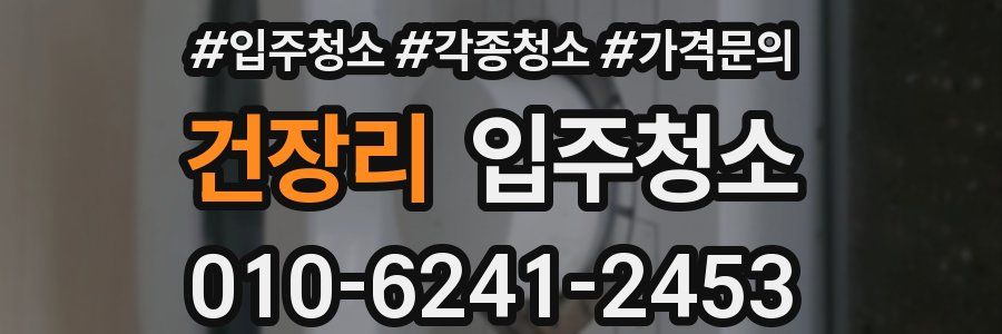 건장리 이사청소