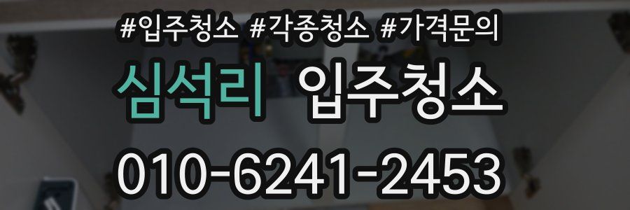 심석리 이사청소