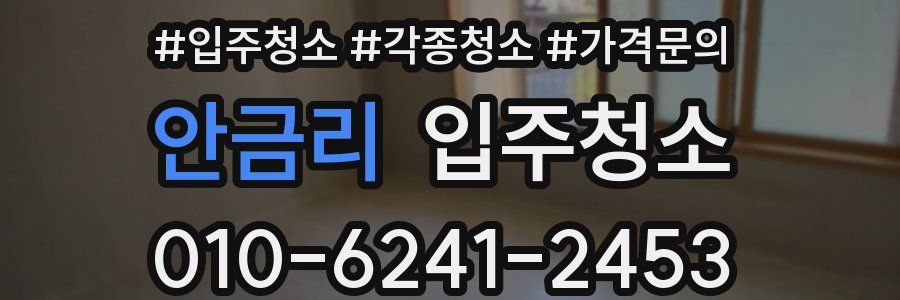 안금리 이사청소