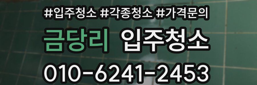 금당리 이사청소