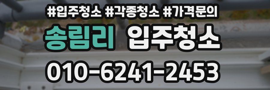 송림리 이사청소