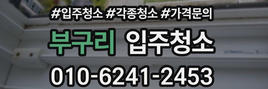 부구리 이사청소