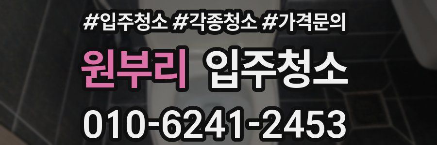 원부리 이사청소