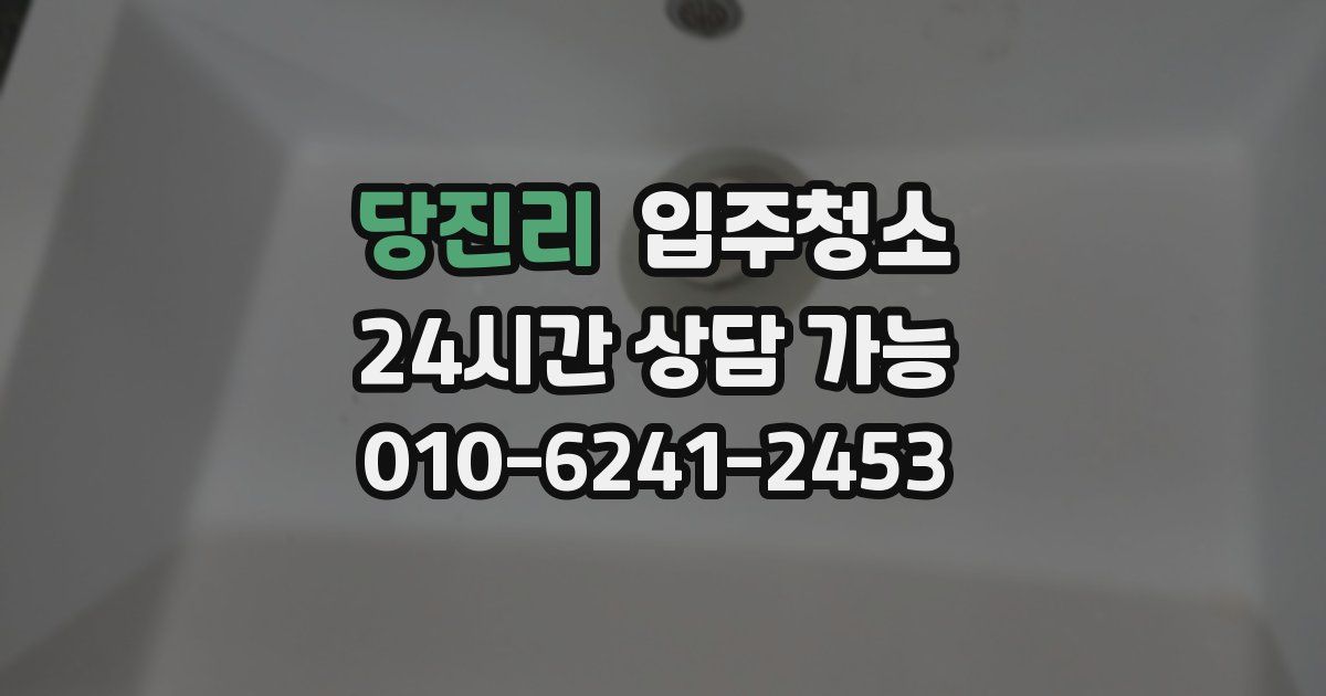 당진리 입주청소